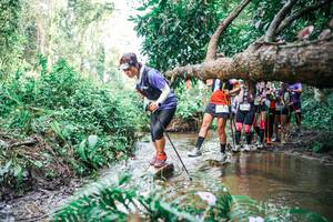 BIB: 
                            <button type="button" onclick="openModal(25516915)" class="btn btn-primary btn-sm float-right btn-popup" data-toggle="modal" data-target=".modal-high-quality">
                        <i class="fas fa-shopping-cart"></i> Add to Cart
                    </button>
                                            <button type="button" onclick="isThisMe(25516915, true)" class="btn btn-success btn-sm float-right btn-popup btn-isme hidden" data-toggle="tooltip" data-placement="bottom" title="นี่คือรูปของคุณใช่ไหม คลิกที่นี่เพื่อเอาเข้าอัลบั้ม">
                        <i class="fas fa-plus"></i> Add to album
                    </button>
                    <button type="button" onclick="isThisMe(25516915, false)" class="btn btn-warning btn-sm float-right btn-popup btn-isnotme hidden">
                        <i class="fas fa-ban"></i> Remove from album
                    </button>